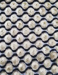 Hanging Design Sequins line Fabric